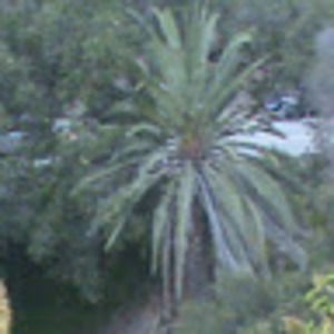 Meet your Posher, Abdullah